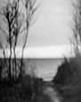 Dreamlike 10